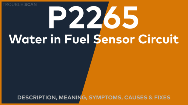 Featured Image 1200 x 675 2024 05 08T161401.369 copy