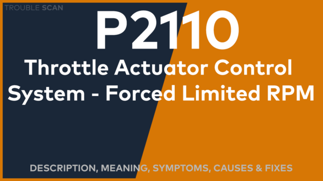 Featured Image 1200 x 675 2024 05 16T185520.987 copy